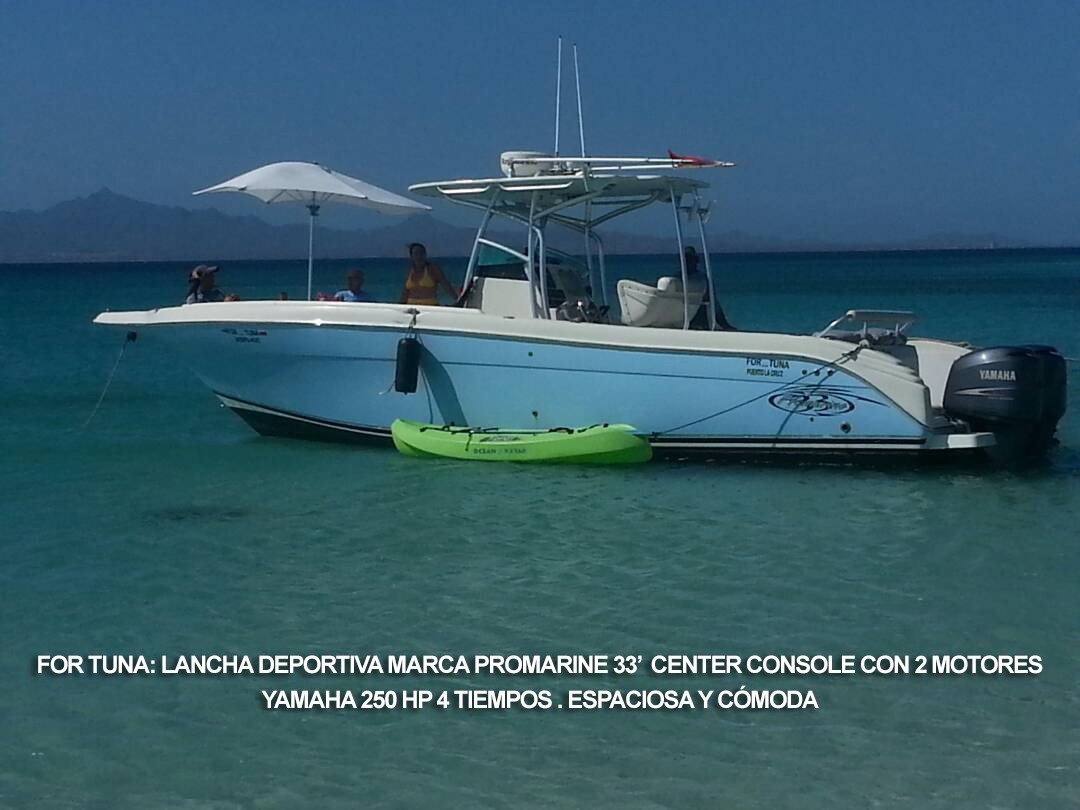Lancha For Tuna, ProMarine - Alquile de lanchas y yates en Venezuela, Isla de Margarita